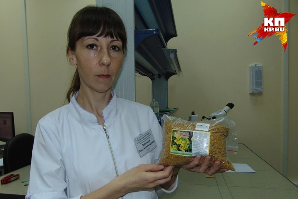 Семена с опасным сорняком - горчаком - попали в иркутские магазины