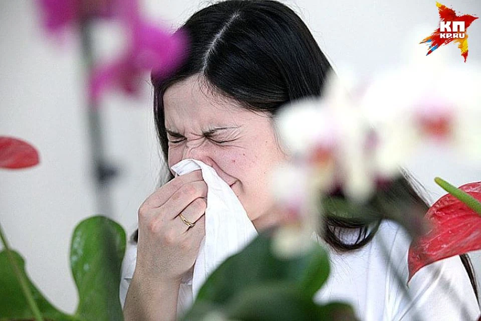 Как ижевчанам пережить сезон аллергии на пыльцу?