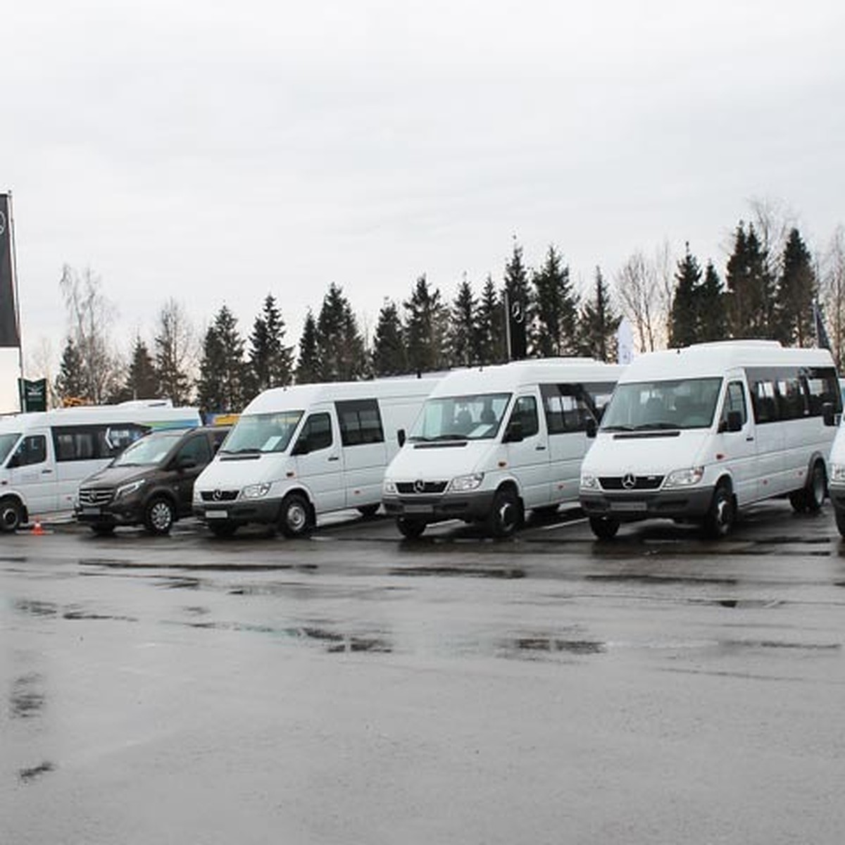 В Смоленске прошло Mercedes-Benz Vans Road Show - KP.RU