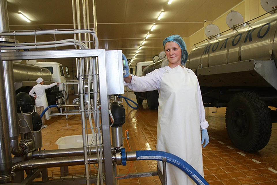 Молочную продукцию в Россию традиционно поставляют десятки предприятий. Временные запреты в связи с нарушениями