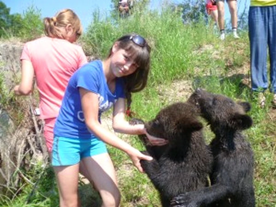 Медведи Миша и Маша жили в зоопарке несколько лет. Фото: gzt-sv.ru