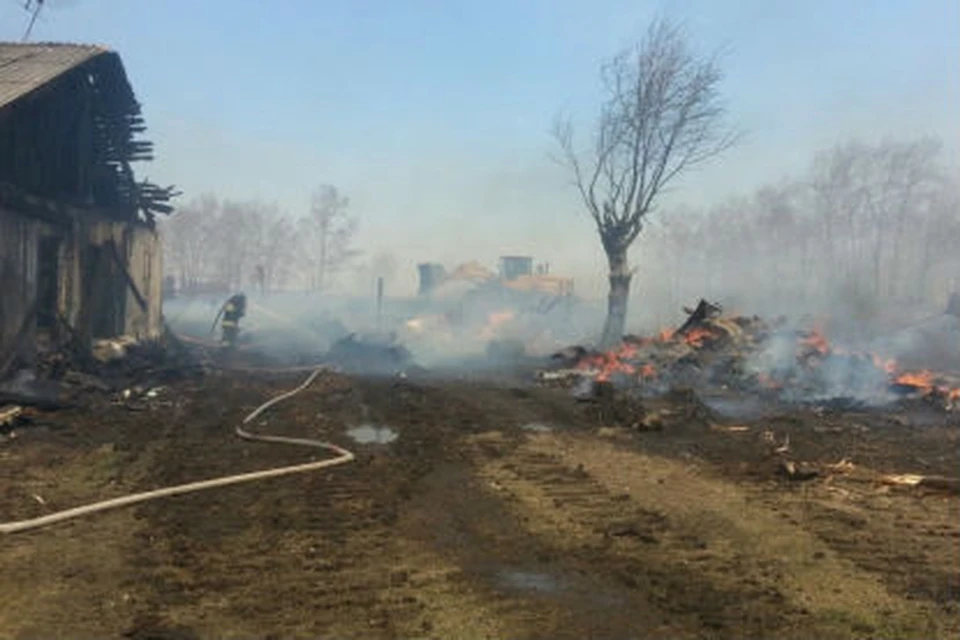 Более 20 домов сгорели в нескольких районах Иркутской области. Фото: ГУ МЧС России по Иркутской области.