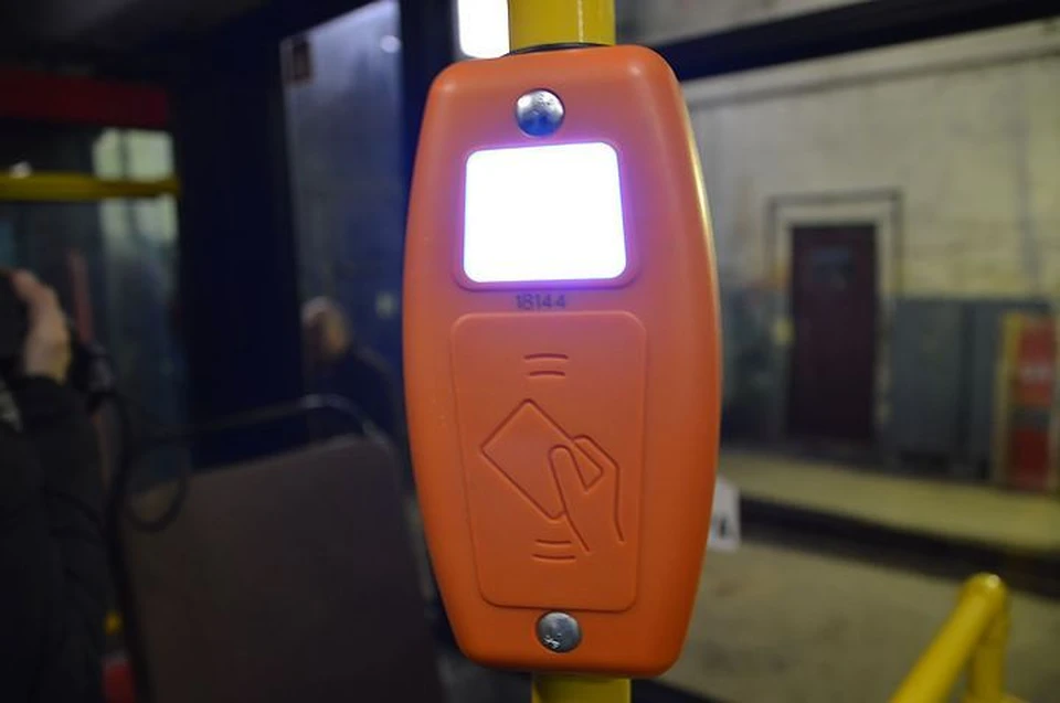 Лизвистік порно