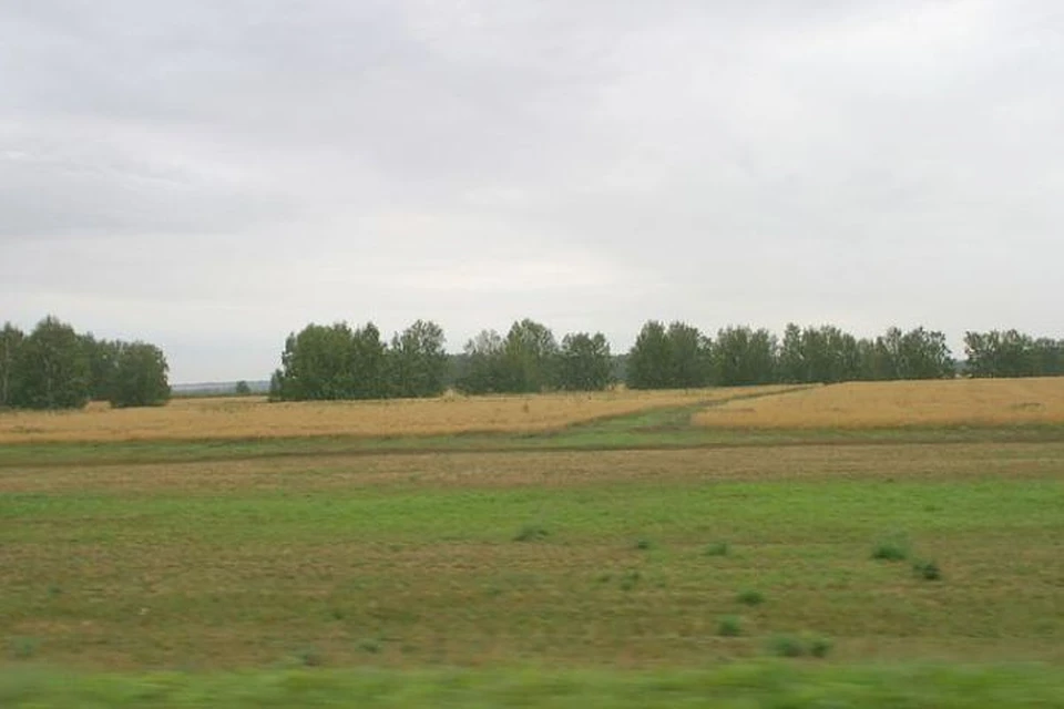 В Хабаровском крае выбрали названия для поселений на «дальневосточных гектарах»