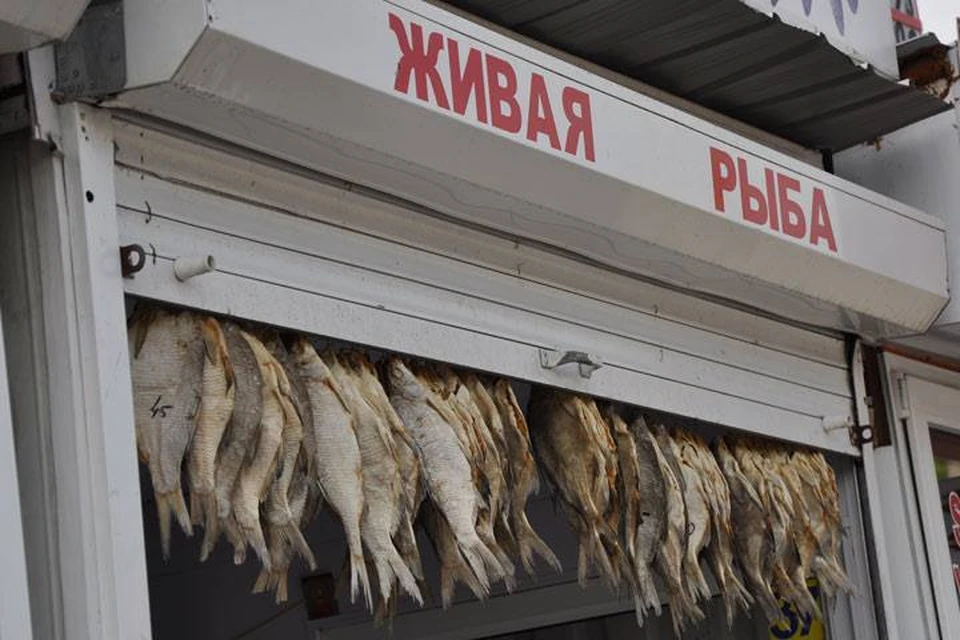 Полакомиться вяленой рыбкой опасно.