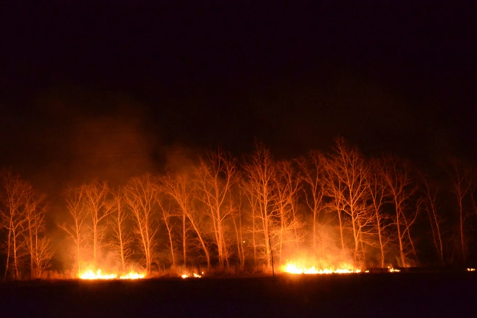 На Дальнем Востоке за сутки возникло более 20 новых пожаров