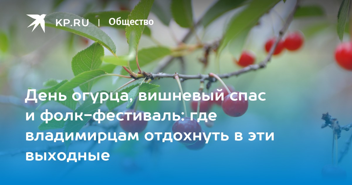 Почему не смогли спасти вишневый сад. Вишнядни неели. Почему нельзя спасти вишнёвый сад.