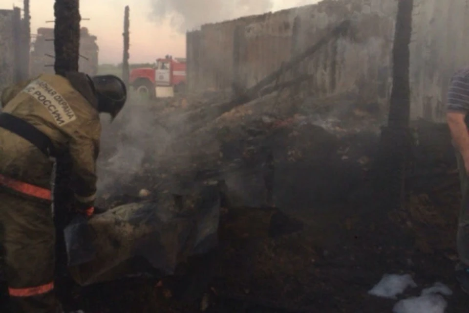 Отец и четверо детей сгорели при пожаре в Красноярском крае. Фото: пресс-служба ГУ МЧС России по краю.