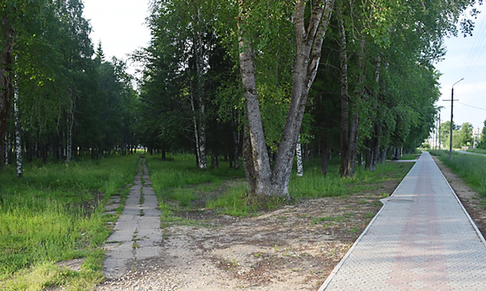 Парк в Микуни, наконец-то, приведут в порядок фото:vperedgazeta.ru