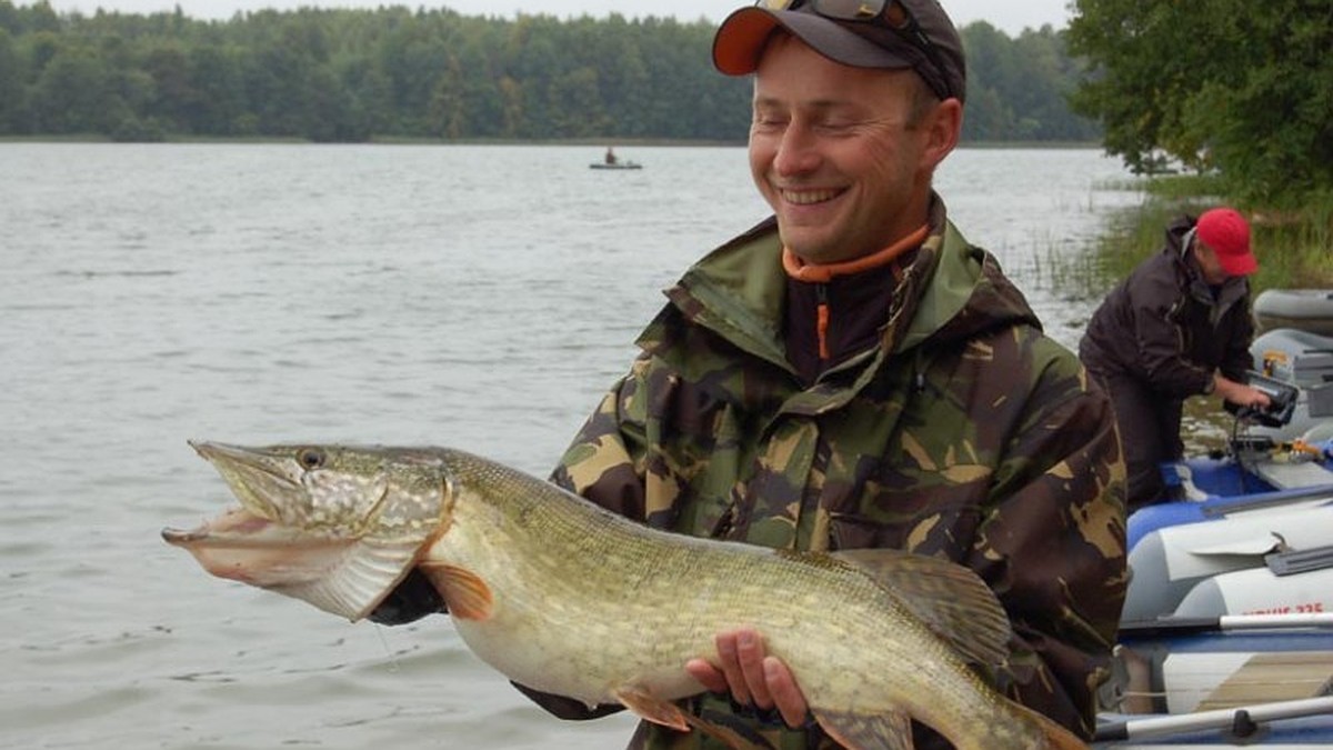 На реке на озере: секреты успешной рыбалки и лучшие снасти