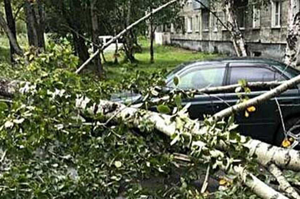Петропавловск-Камчатский восстанавливается после тайфуна «Санву»
