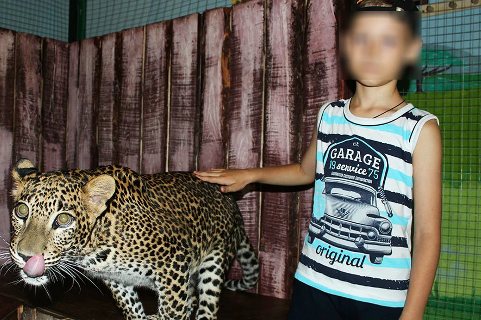 В контактном зоопарке маленьким детям разрешают гладить диких животных и фотографироваться с ними. Фото из группы "Мадагаскара" "ВКонтакте".