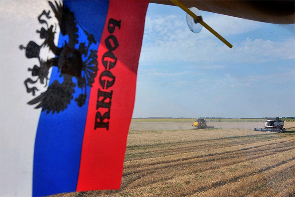 Уборка урожая зерновых в Ставропольском крае.