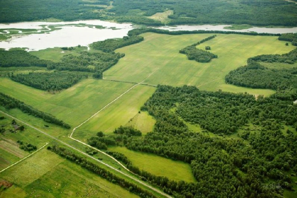 Приморье входит в первую тройку по выдаче «дальневосточных гектаров». Фото: minvr.ru