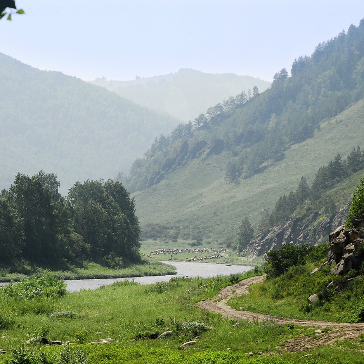 Фото Села Смоленское Алтайского Края