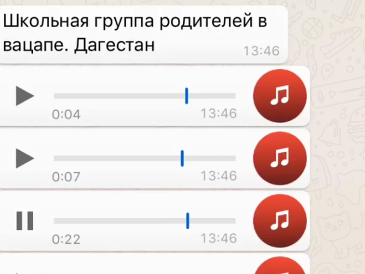 Что дали задом?»: как в Дагестане родители школьников общаются в чате -  KP.RU