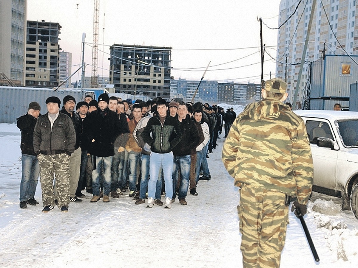 Построят ли мигранты в Сибири таежный халифат. Часть 1: «Сказочный бизнес»  - KP.RU