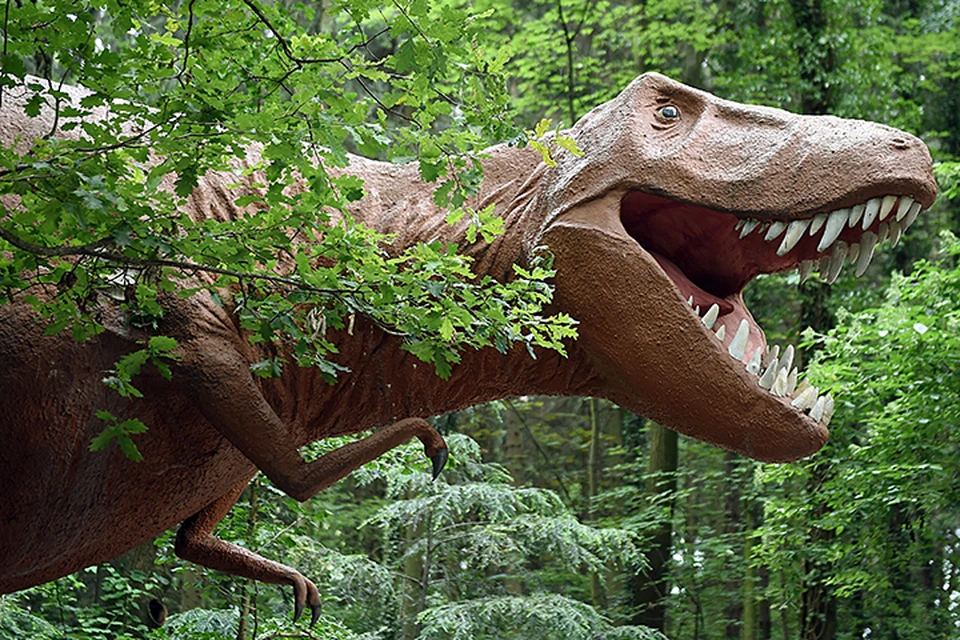 Tyrannosaurus rex должны были издавать главным образом очень низкие звуки