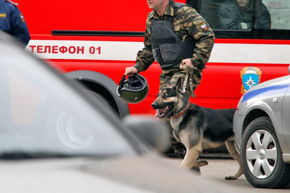 В ставропольской квартире, где уничтожили вооруженного преступника, найдено мощное взрывное устройство