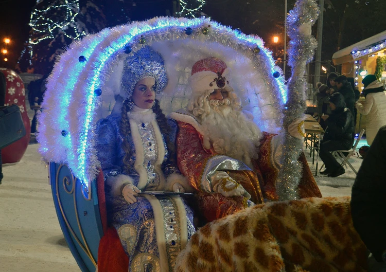 В Новый год ульяновцы просили вернуть свет в дома, вывезти мусор и привезти Снегурочку