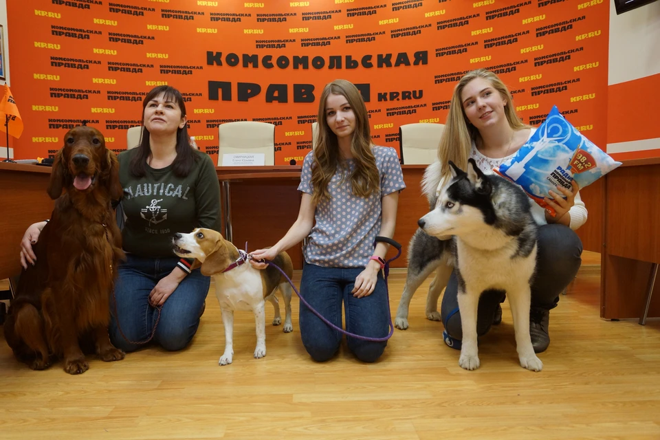 В Самаре наградили победителей конкурса "Главная собака года 2018"