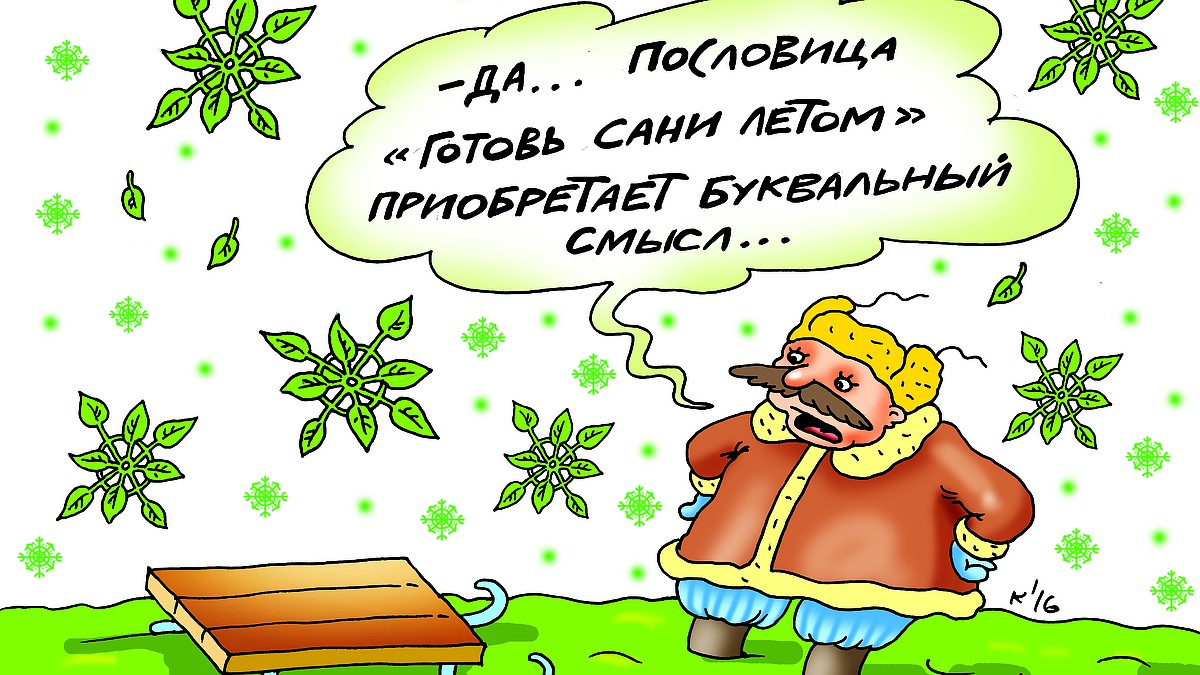 Владимирский ученый расшифровал, какие законы физики заложены в народных  приметах и пословицах - KP.RU