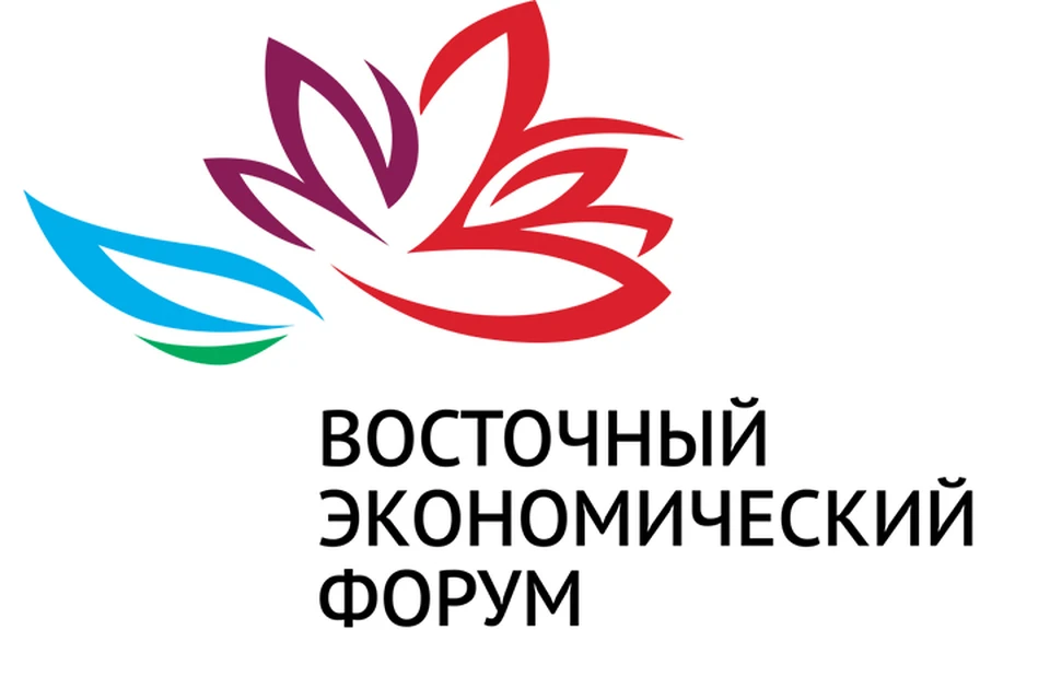 Восточный экономический форум проводится ежегодно в целях содействия ускоренному развитию экономики Дальнего Востока