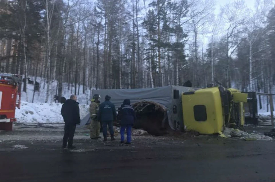 Более 30 лошадей спасли из опрокинувшегося грузовика на трассе под Иркутском. Фото: группа "ДТП 38RUS"