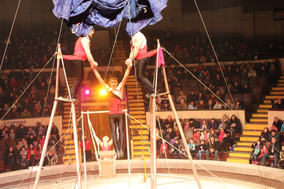 Созданный в 1998 году номер «Акробаты на качелях» получил два «Золотых клоуна» на цирковых фестивалях в Польше и Голландии