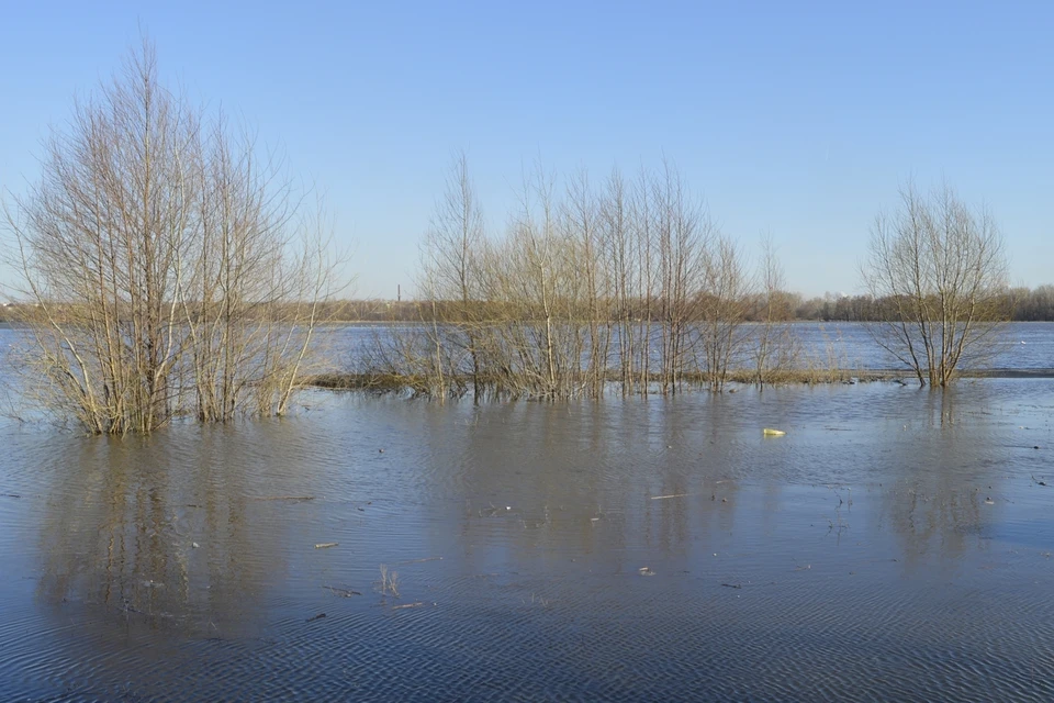 Вода в реке воронеж сегодня. Озеро Стрелецкое Воронеж. Река Липовка. Липовка (приток Воронежа).