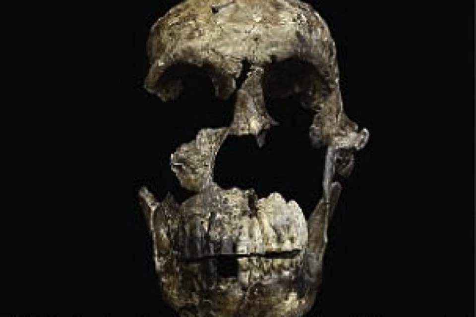 Найдены останки 18 существ, скончавшихся несколько сотен тысяч лет назад.
