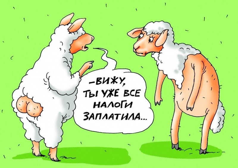 рис. Катерина Мартинович