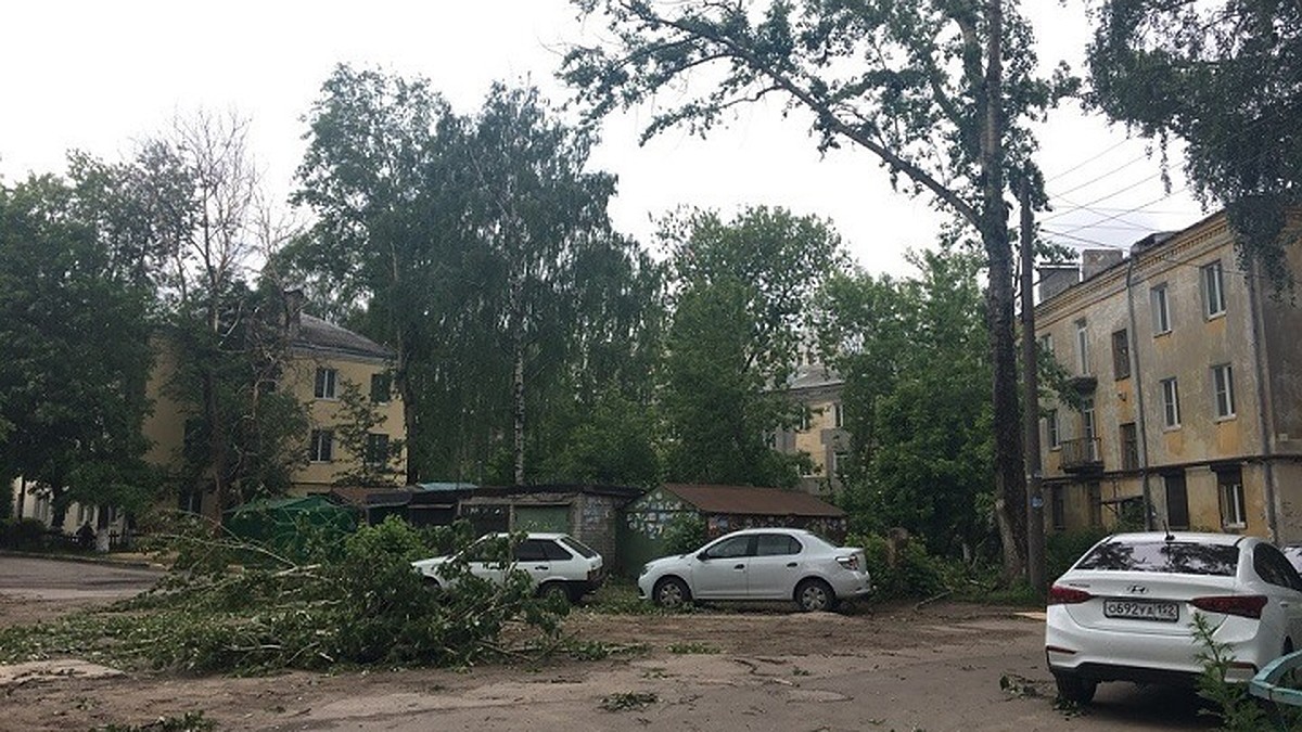 Сломанные ураганом деревья до сих пор лежат на улицах Нижнего Новгорода -  KP.RU