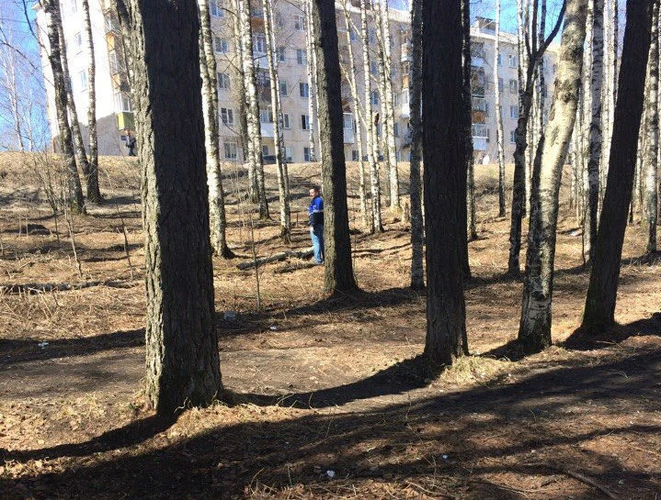 Фото из группы «Мы против вырубки сквера в центре города»