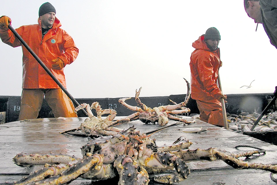 На краба сегодня с надеждой смотрят и рыбаки, и судостроители. Фото: globallookpress.com