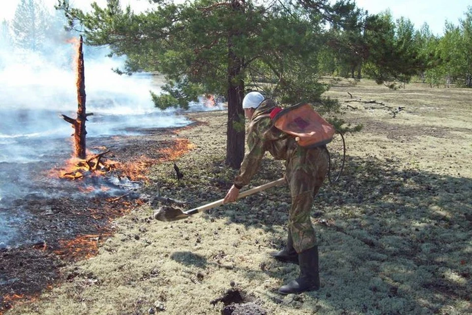 На территории Красноярского края полыхает более полумиллиона гектаров леса. Фото: Красноярский лесопожарный центр