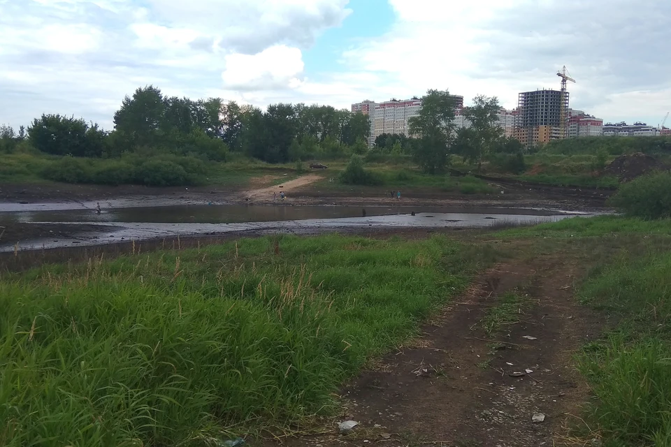 Водоемы осушили. Пенза Запрудный пруд ОСУШИЛИ. Мосрентген пруды ОСУШИЛИ. Осушение пруда возое 6й городской. ОСУШИЛИ озеро в Калининграде.