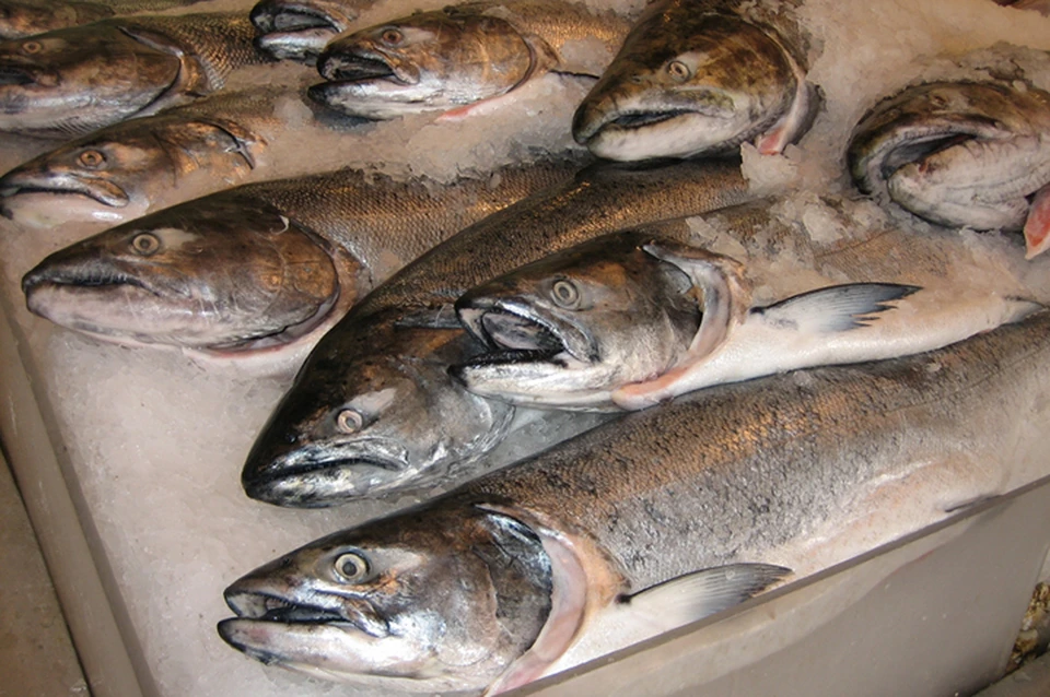 «Доступную рыбу» начнут продавать в Хабаровске на выходных