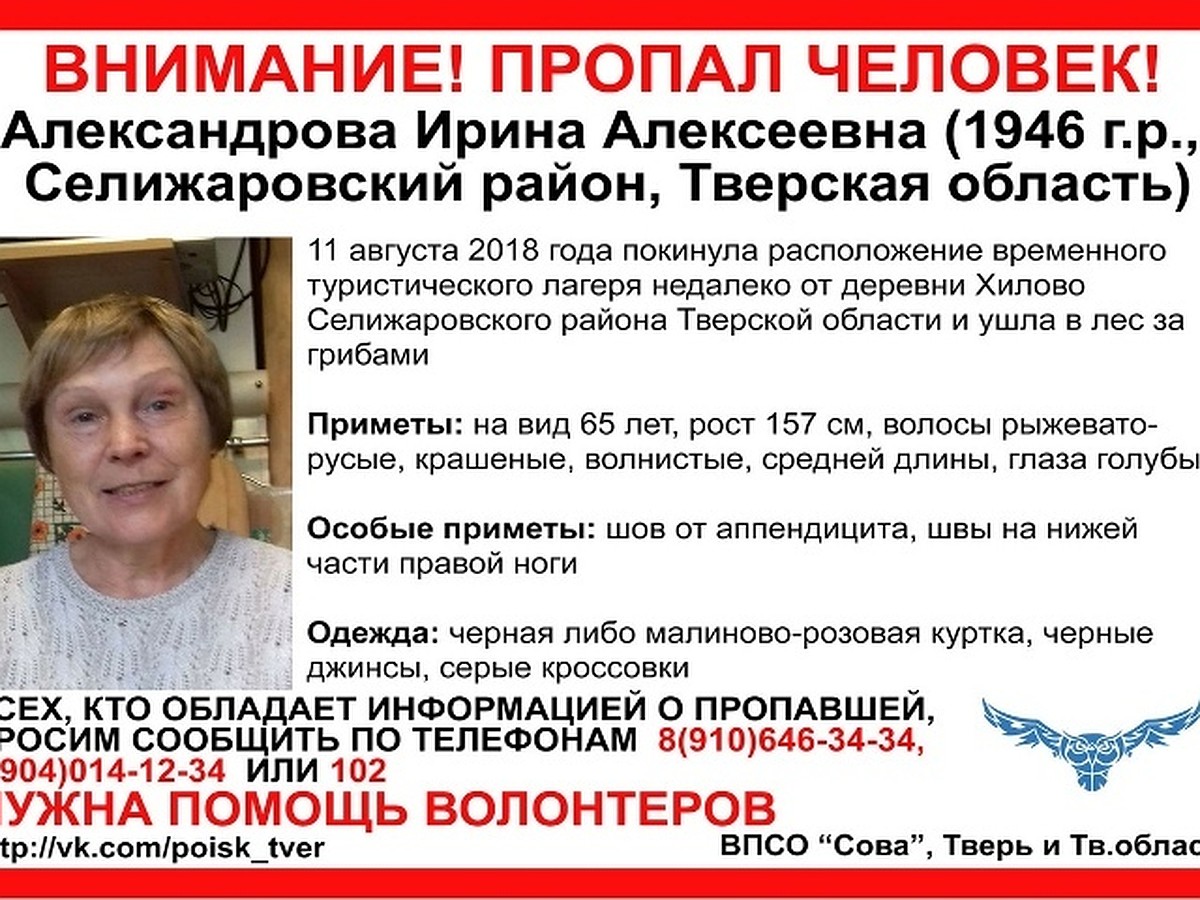 Кто же пропал в лесу в Тверской области: ученая дама с мировым именем или  обычная пенсионерка - KP.RU