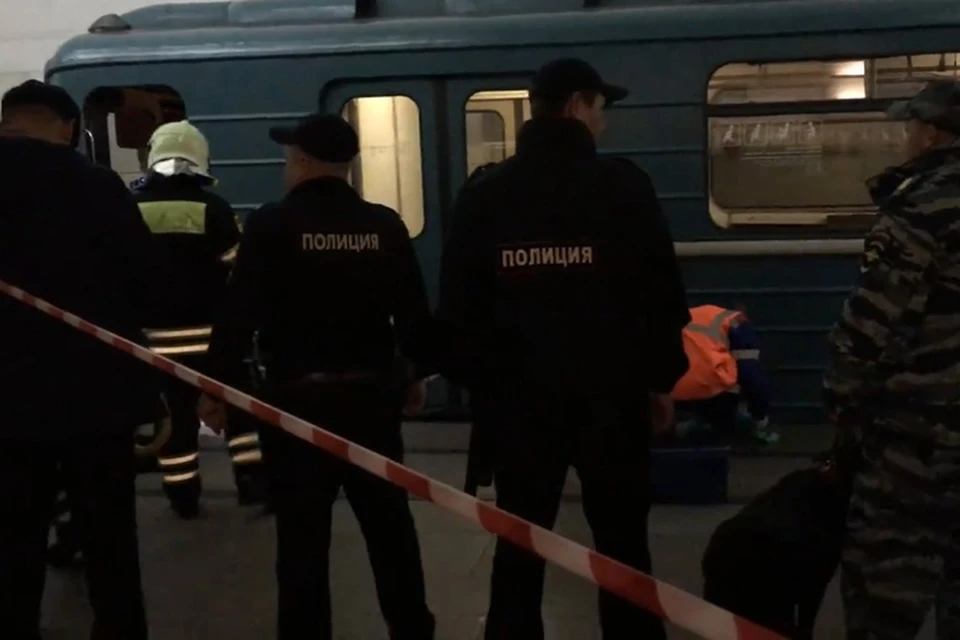 На станции "Тверская" под колёса прибывающего состава упал человек