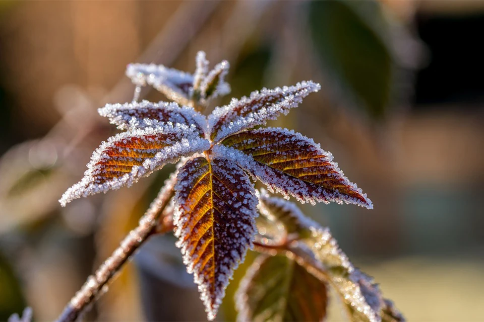 Настоящие холода придут только в конце ноября. Фото: pixabay.com