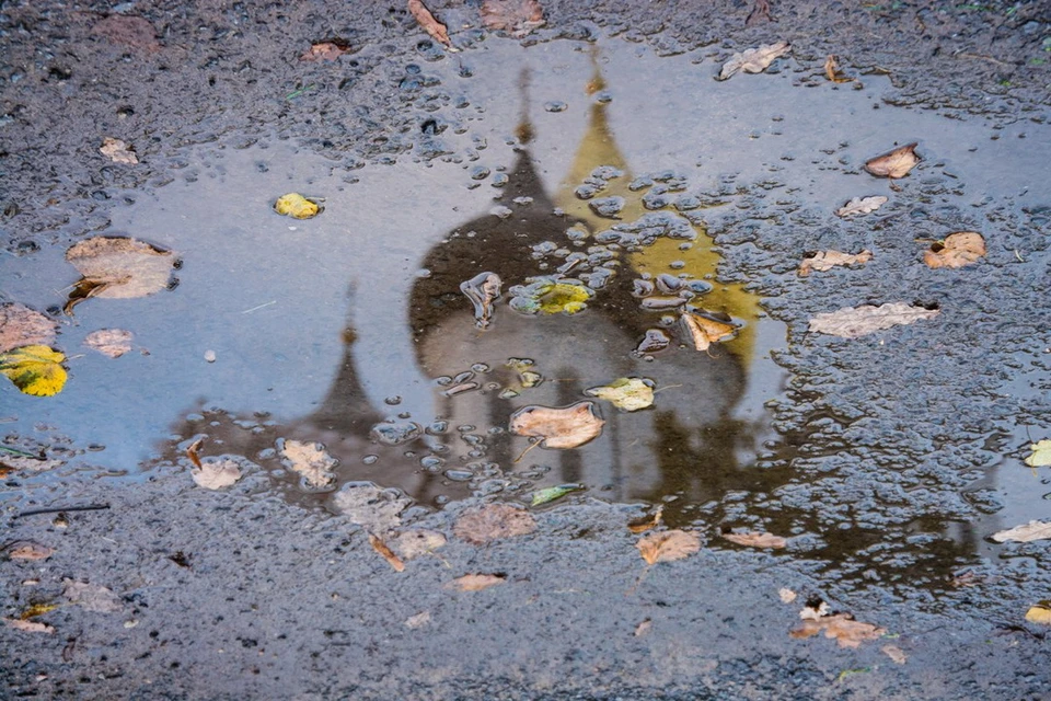 Псковскую область ждет дождливый ноябрь. Фото: Юлия Сергеева.