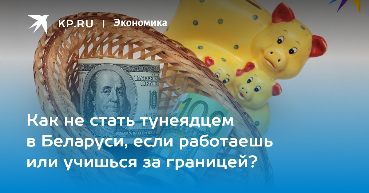 Как не стать тунеядцем в Беларуси, если работаешь или учишься за границей? - KP.RU