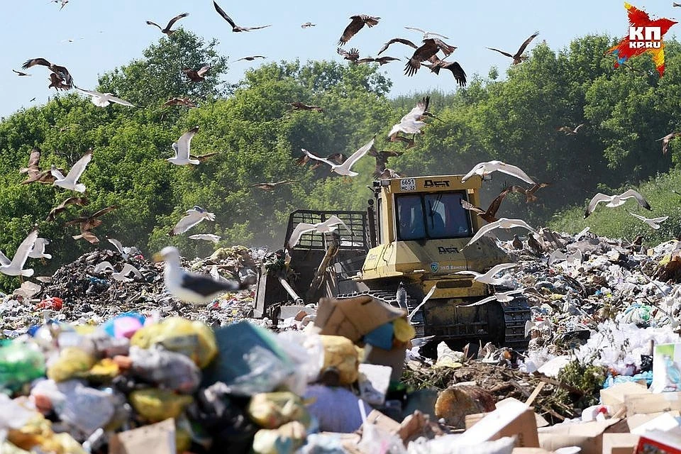 В Коми продолжают прорабатывать пути утилизации мусора