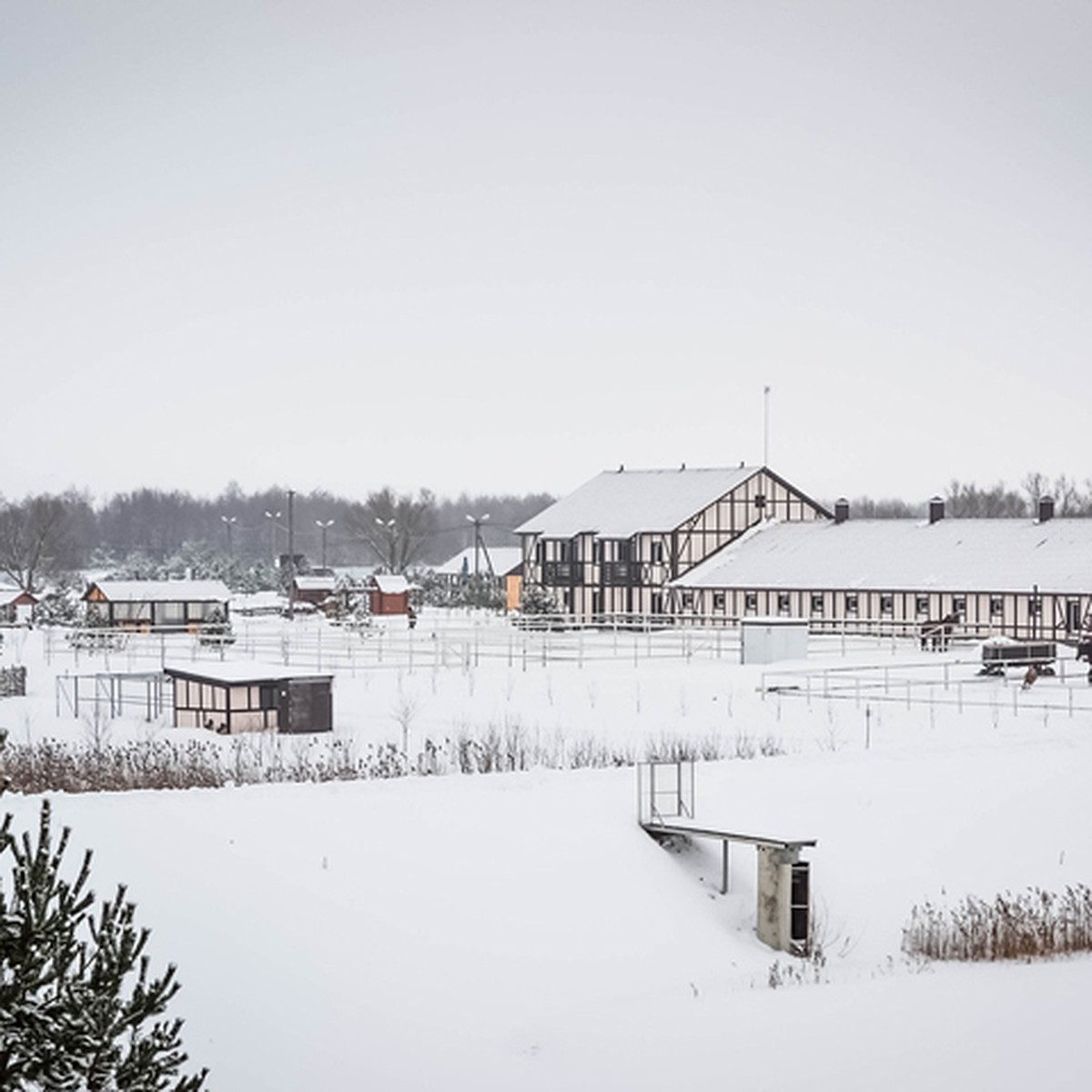 Где брянцам встретить Новый год-2019 за городом - KP.RU