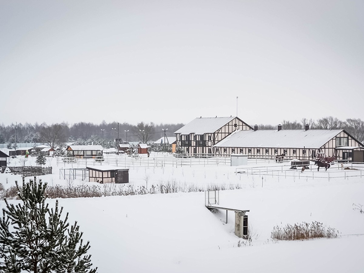 Где брянцам встретить Новый год-2019 за городом - KP.RU