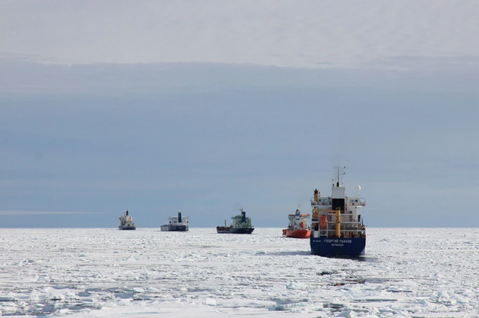 Полуостров Ямал будет мощным центром арктической логистики Фото: правительство ЯНАО