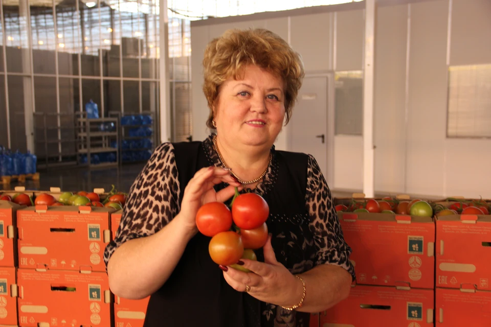 «Наши томаты вне конкуренции, - уверена директор комплекса Любовь Харламова.