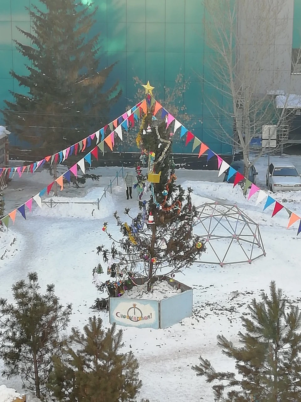 Ободранную елку в одном из дворов Омска убрали по просьбам жителей