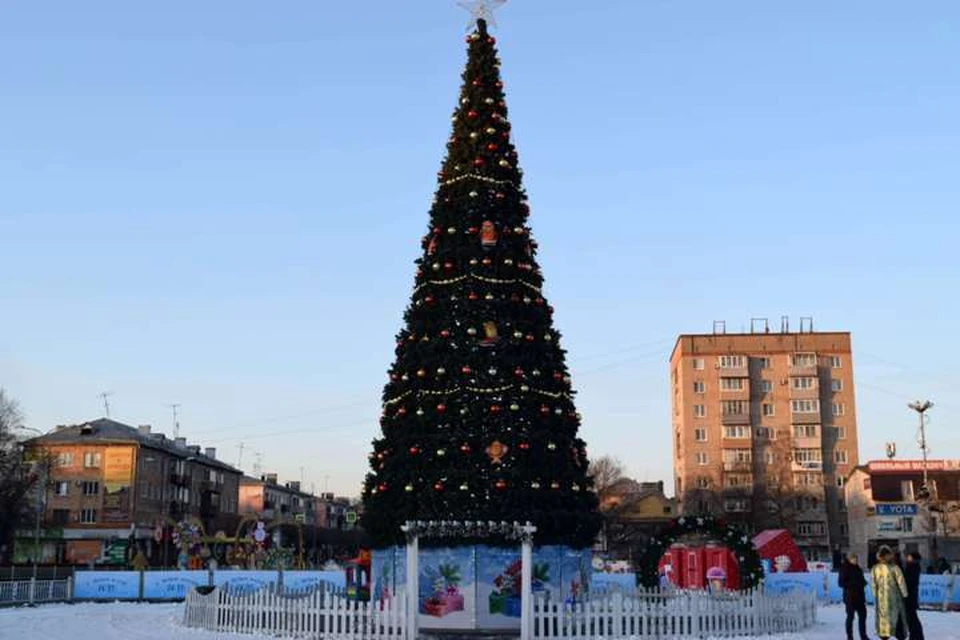Праздничные елки уже устанавливают по всему Приморью. Фото: adm-ussuriisk.ru
